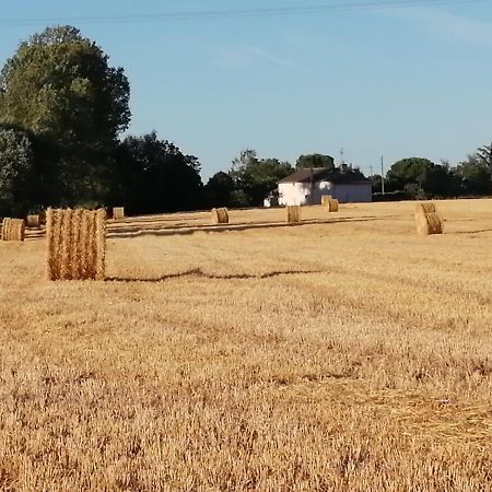 La Case A Jane, Gite Familial En Pays Tarnais Coufouleux Exterior photo