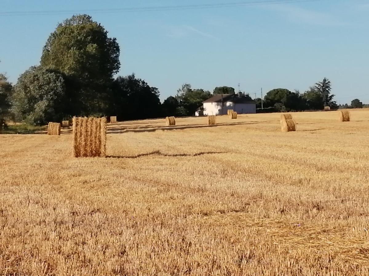 La Case A Jane, Gite Familial En Pays Tarnais Coufouleux Exterior photo