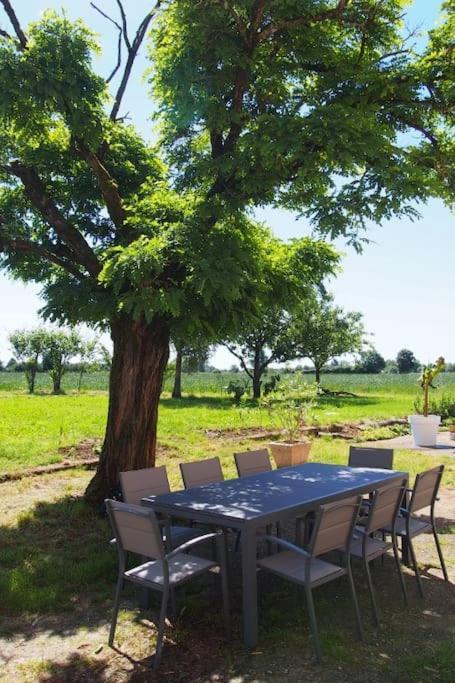 La Case A Jane, Gite Familial En Pays Tarnais Coufouleux Exterior photo