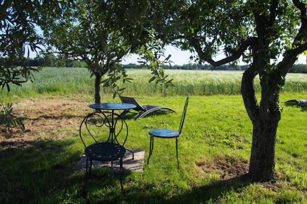 La Case A Jane, Gite Familial En Pays Tarnais Coufouleux Exterior photo